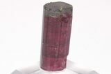 Tri-Colored Elbaite Tourmaline Crystal - Aricanga Mine, Brazil #206245-3